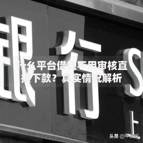 什么平台借钱不用审核直接下款？真实情况解析