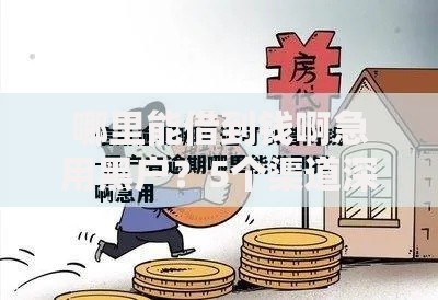 哪里能借到钱啊急用黑户？5个渠道深度解析