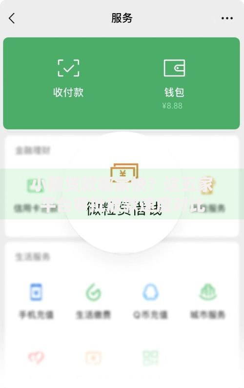 小额贷款哪家快？这五家平台审批放款速度对比