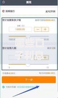 哪些口子利息低啊？低息贷款平台推荐与选择技巧