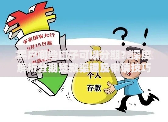 黑户哪些口子可以分期？深度解析分期贷款渠道及申请技巧