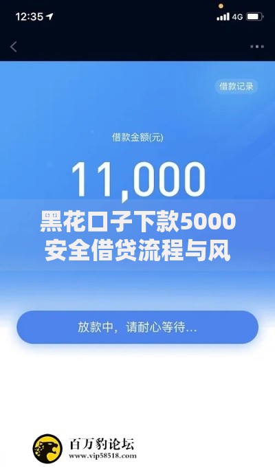 黑花口子下款5000安全借贷流程与风险防范指南