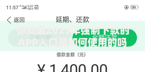 你知道2025年强制下款的APP入口是如何使用的吗？贷款新规解析