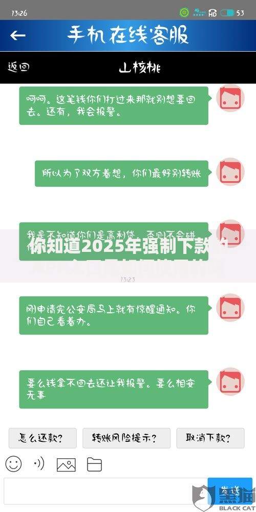 你知道2025年强制下款的APP入口是如何使用的吗？贷款新规解析