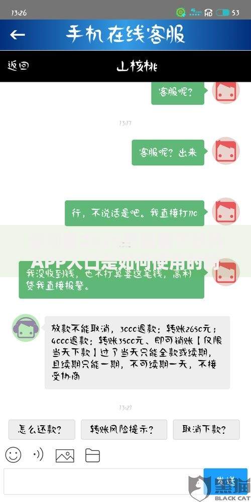 你知道2025年强制下款的APP入口是如何使用的吗？贷款新规解析