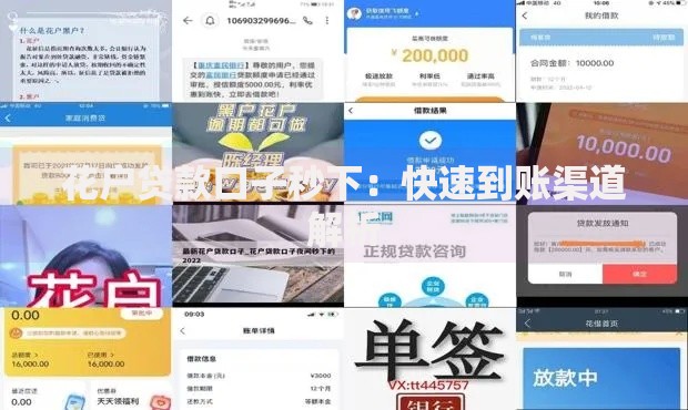 花户贷款口子秒下：快速到账渠道解析