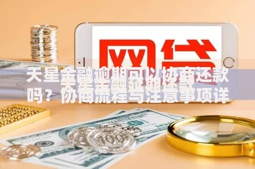 天星金融逾期可以协商还款吗？协商流程与注意事项详解