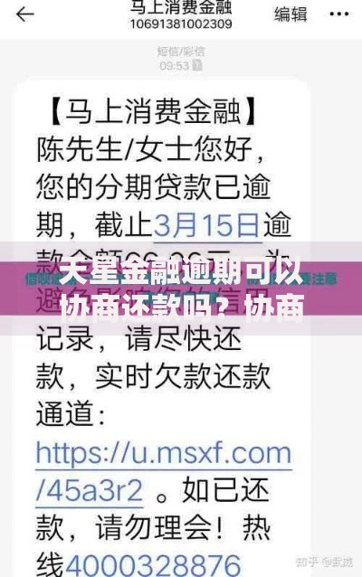 天星金融逾期可以协商还款吗？协商流程与注意事项详解