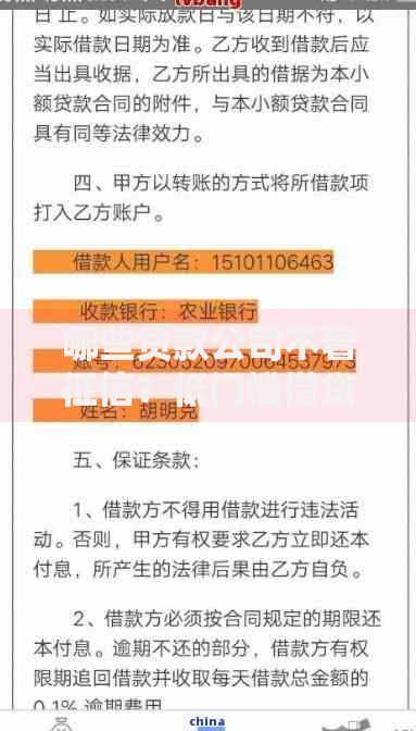 哪些贷款公司不看征信？低门槛借贷渠道解析
