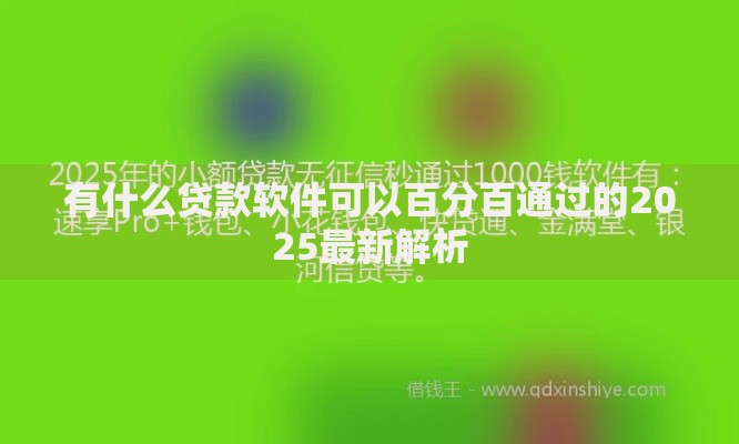 有什么贷款软件可以百分百通过的2025最新解析
