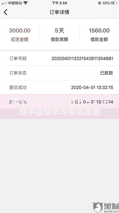 哪个口子可以下款五万？正规平台解析与申请攻略