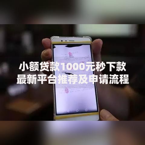 小额贷款1000元秒下款最新平台推荐及申请流程详解