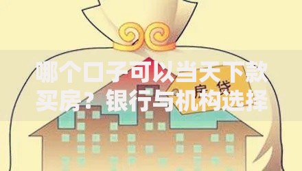 哪个口子可以当天下款买房？银行与机构选择全解析