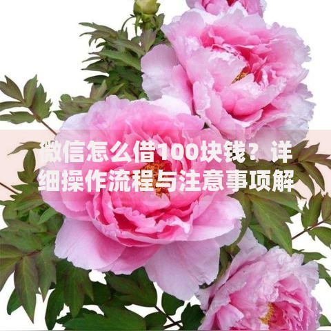 微信怎么借100块钱？详细操作流程与注意事项解析