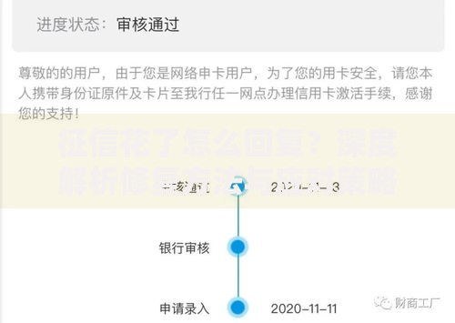 征信花了怎么回复？深度解析修复方法与应对策略