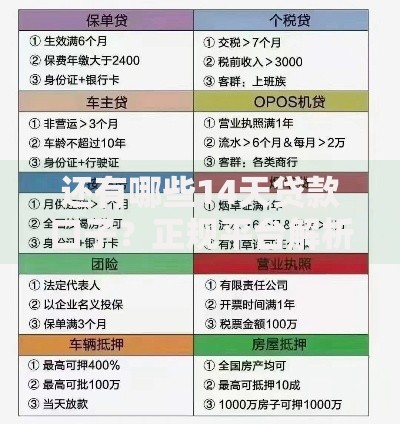 还有哪些14天贷款口子？正规平台解析与申请攻略