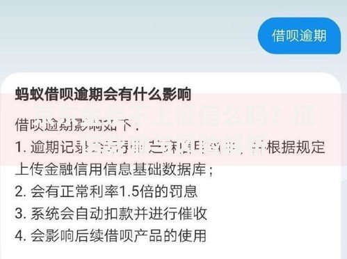 京东金条不上征信么吗？征信影响与风险解析