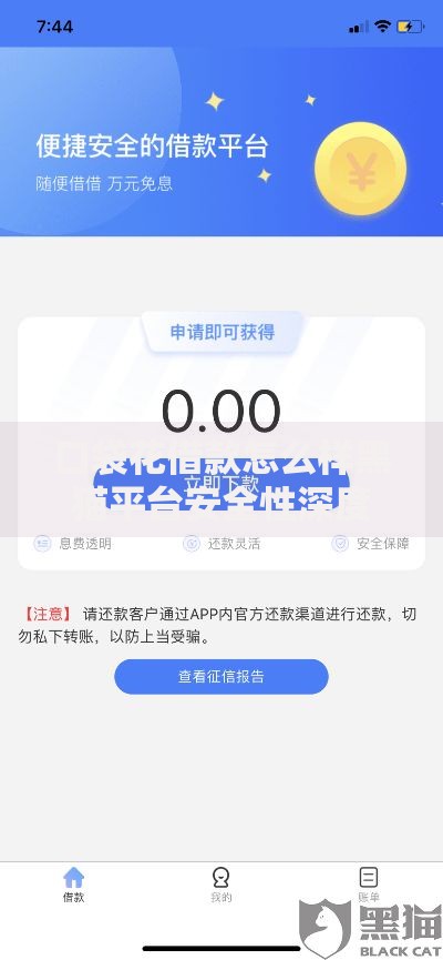 口袋花借款怎么样黑猫平台安全性深度解析