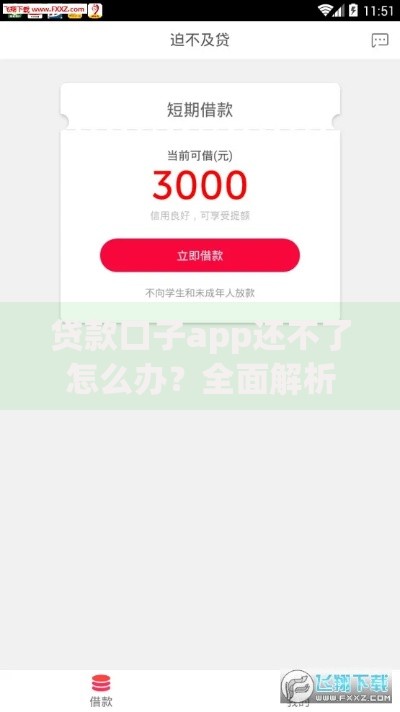 贷款口子app还不了怎么办？全面解析应对策略