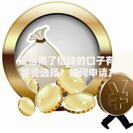 征信黑了借钱的口子有哪些选择？如何申请？