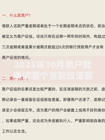 2025年10月黑户能申请哪个贷款政策解析