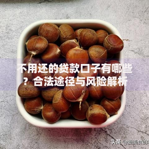不用还的贷款口子有哪些?合法途径与风险解析 不用还的贷款口子有哪些?合法途径与风险解析