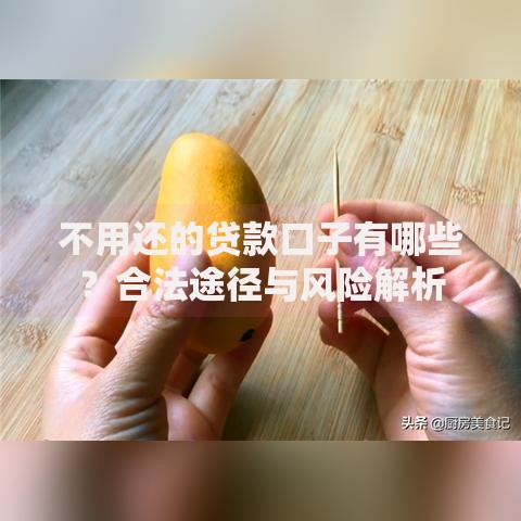 不用还的贷款口子有哪些?合法途径与风险解析 不用还的贷款口子有哪些?合法途径与风险解析