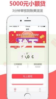 秒下款1000元的口子有哪些？哪些平台审核最快到账