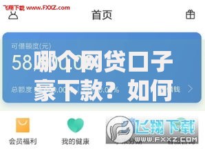 哪个网贷口子豪下款？如何选择高额度平台