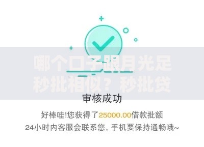 哪个口子跟月光足秒批相似？秒批贷款平台深度解析