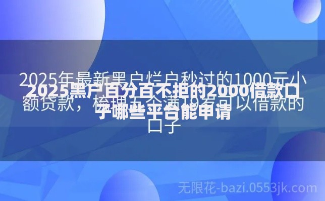 2025黑户百分百不拒的2000借款口子哪些平台能申请