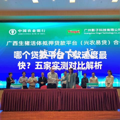 哪个贷款平台下款速度最快？五家实测对比解析