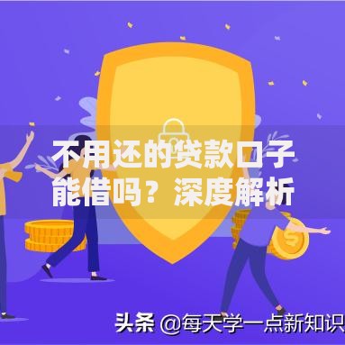 不用还的贷款口子能借吗？深度解析合法借贷与风险防范