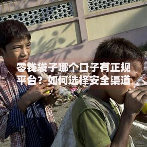 零钱袋子哪个口子有正规平台？如何选择安全渠道