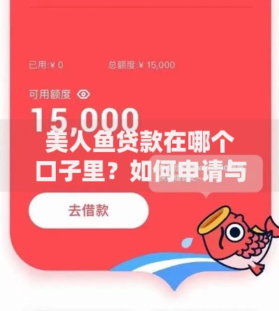 美人鱼贷款在哪个口子里？如何申请与平台解析