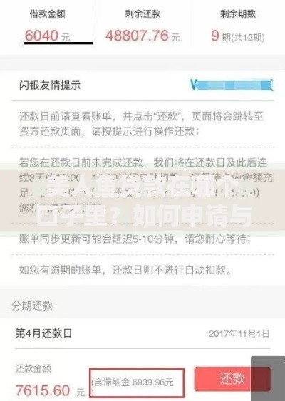 美人鱼贷款在哪个口子里？如何申请与平台解析