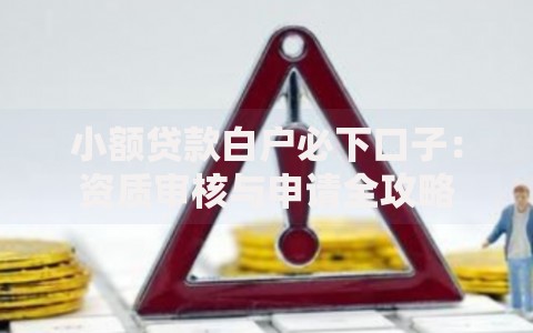 小额贷款白户必下口子：资质审核与申请全攻略