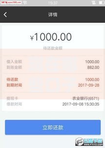 现在哪些口子放款？最新正规贷款渠道深度解析