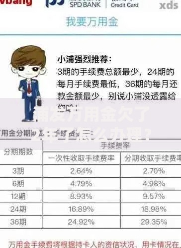 浦发万用金欠了2年了怎么办理？还款方案与协商技巧解析