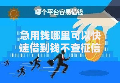 急用钱哪里可以快速借到钱不查征信？合法渠道深度解析