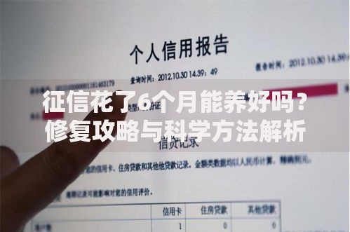 征信花了6个月能养好吗？修复攻略与科学方法解析