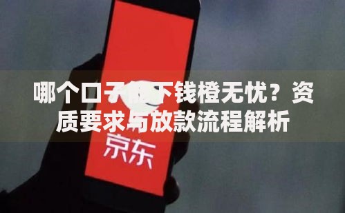 哪个口子能下钱橙无忧？资质要求与放款流程解析