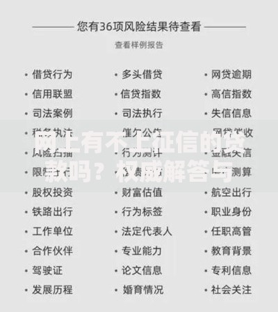 网上有不上征信的贷款吗？权威解答与风险分析