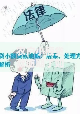 农户小额贷款逾期了如何处理？后果与应对措施解析