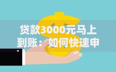 贷款3000元马上到账：如何快速申请？流程条件全解析
