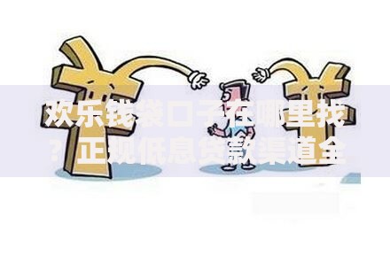 欢乐钱袋口子在哪里找？正规低息贷款渠道全解析