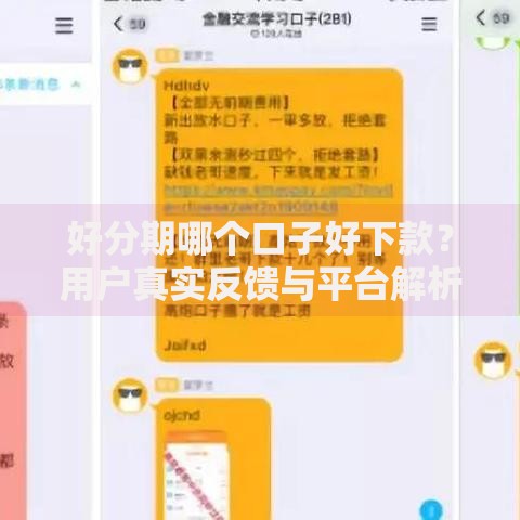 好分期哪个口子好下款？用户真实反馈与平台解析