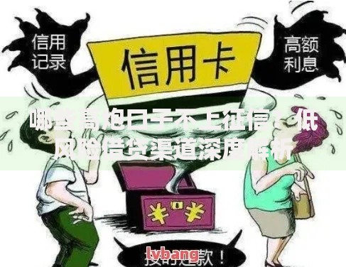 哪些高炮口子不上征信？低风险借贷渠道深度解析