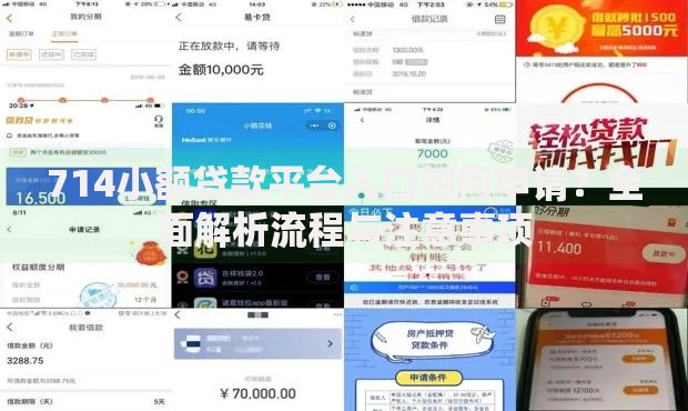 714小额贷款平台入口如何申请？全面解析流程与注意事项
