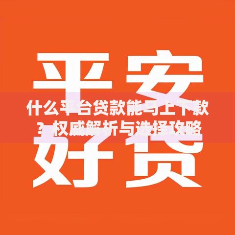 什么平台贷款能马上下款？权威解析与选择攻略
